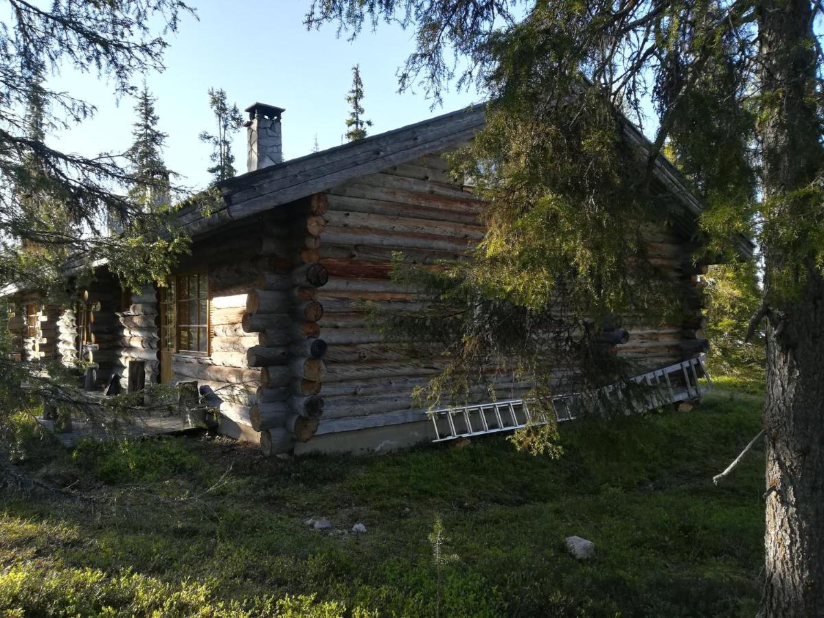Logwood Chalet Luosto Bagian luar foto