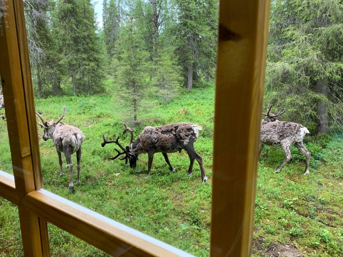 Logwood Chalet Luosto Bagian luar foto