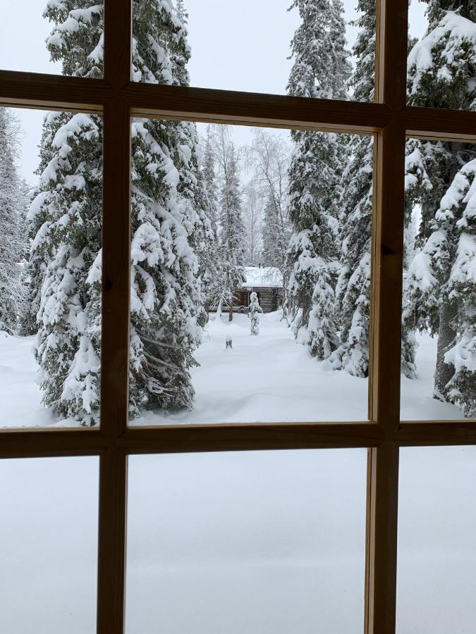Logwood Chalet Luosto Bagian luar foto